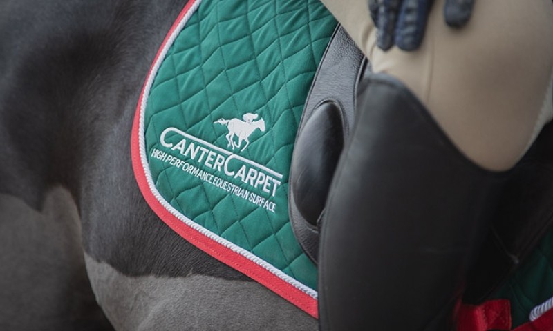 Canter Carpet branding by Giant Creative